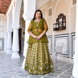 Jeweled Jade Banarasi Sequin Embroidered Jacket Lehenga Set