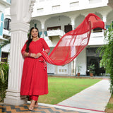 Ruby Chikankari Affair Georgette Anarkali