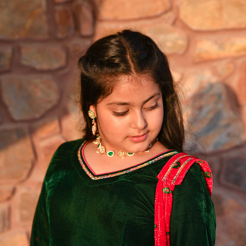 Lush Green & Red Velvet Anarkali Set