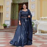 Blueberry Sequin Embroidered Lehenga Set