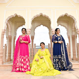 Blue Zodiac Banarasi Anarkali Dress