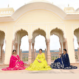 Blue Zodiac Banarasi Anarkali Dress