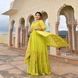 Lime Yellow Banarasi Anarkali Dress