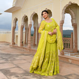 Lime Yellow Banarasi Anarkali Dress