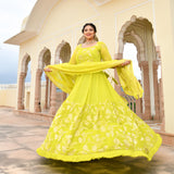 Lime Yellow Banarasi Anarkali Dress