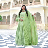 Moon Mist Chikankari Lehenga Set