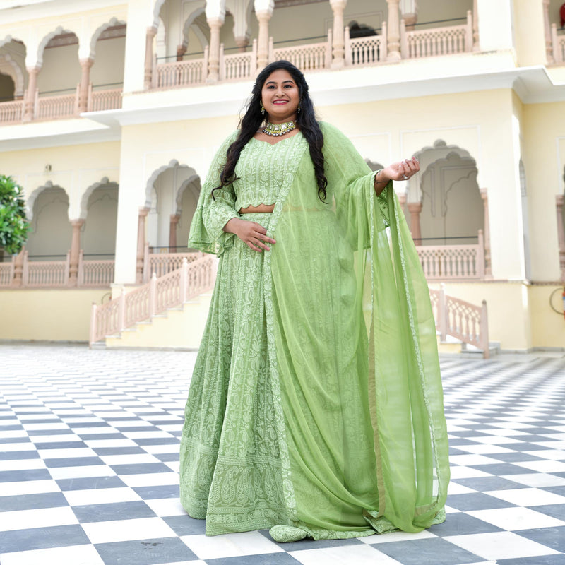 Moon Mist Chikankari Lehenga Set
