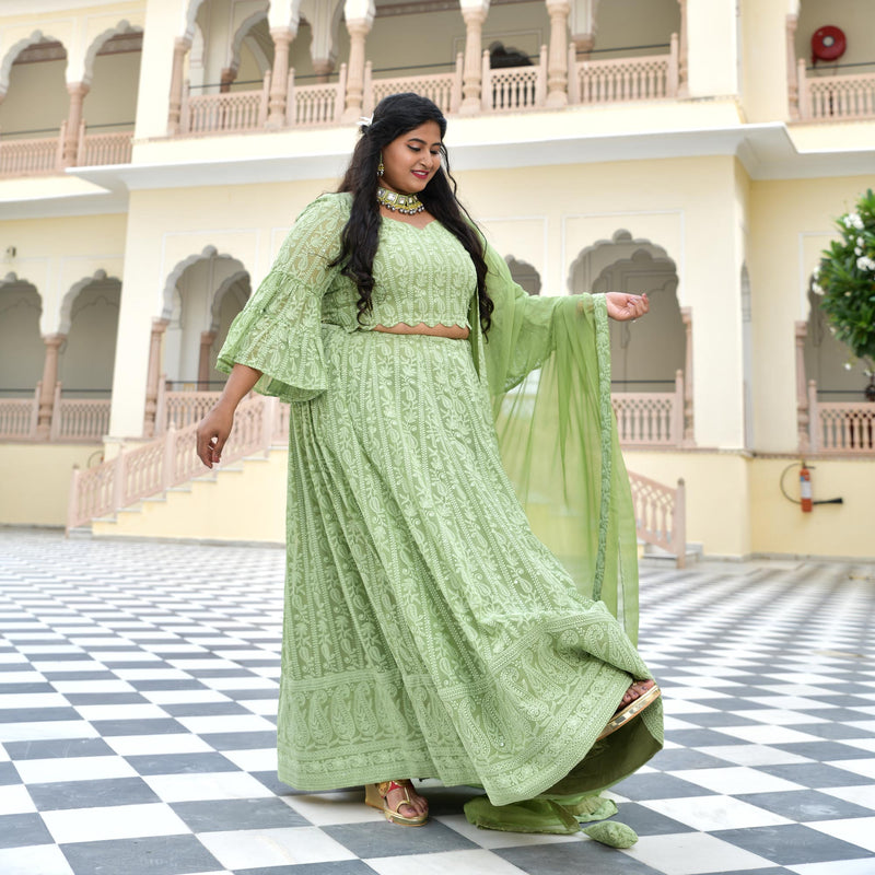 Moon Mist Chikankari Lehenga Set