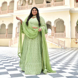 Moon Mist Chikankari Lehenga Set
