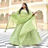Moon Mist Chikankari Lehenga Set