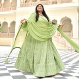 Moon Mist Chikankari Lehenga Set
