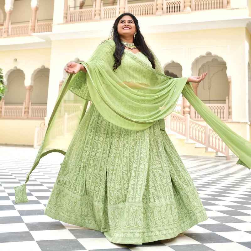 Moon Mist Chikankari Lehenga Set
