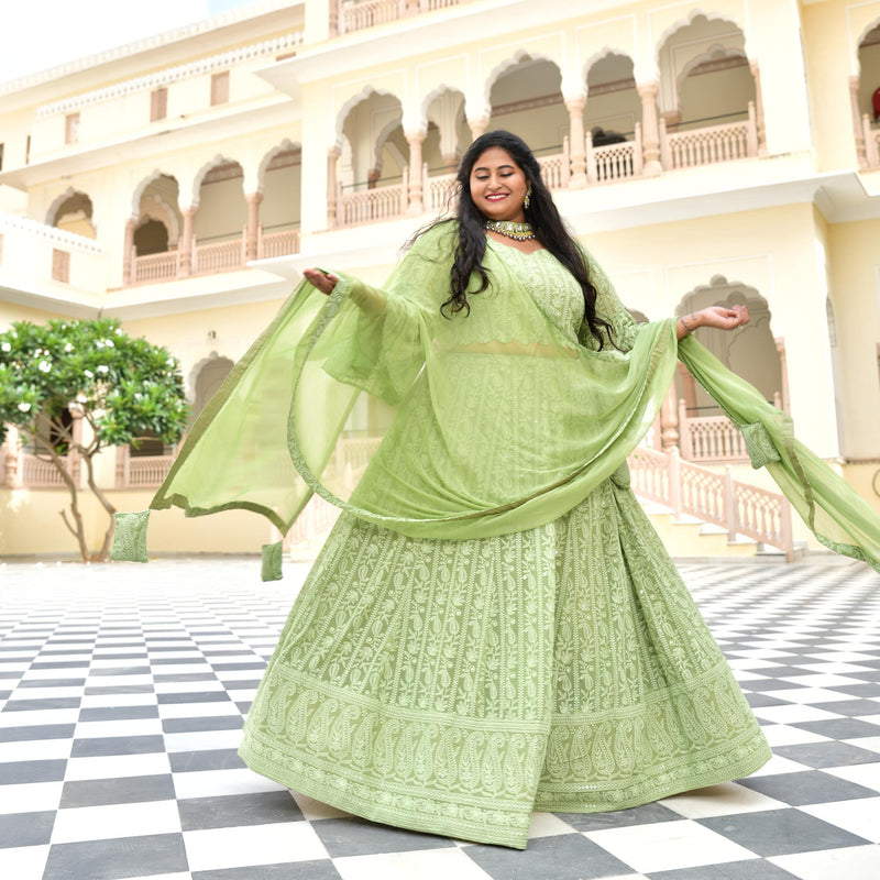 Moon Mist Chikankari Lehenga Set