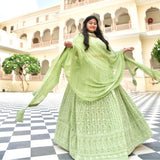 Moon Mist Chikankari Lehenga Set