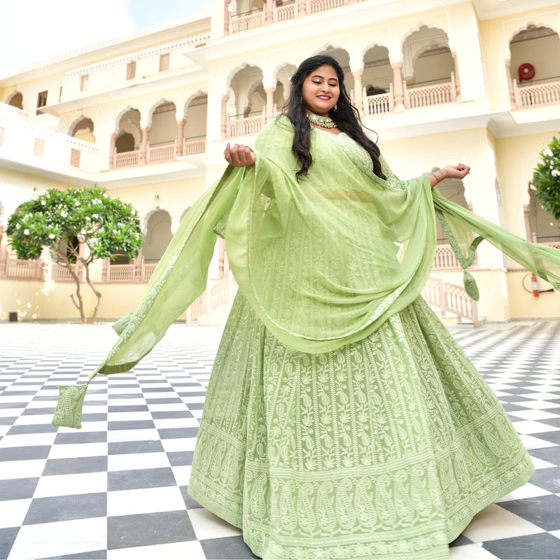 Moon Mist Chikankari Lehenga Set