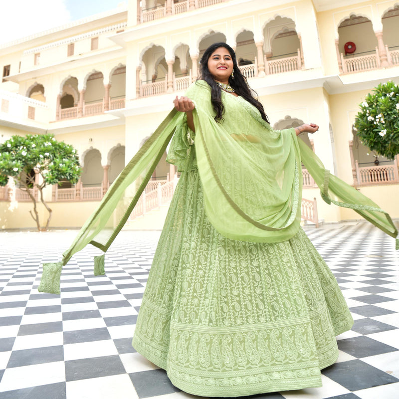 Moon Mist Chikankari Lehenga Set