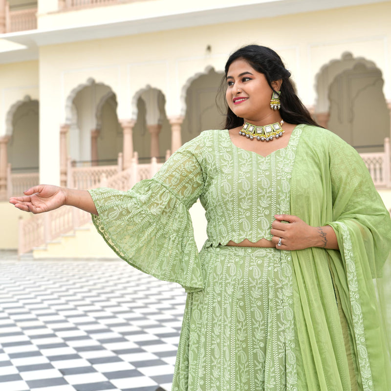 Moon Mist Chikankari Lehenga Set