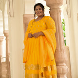 Sunglow & Gold Panelled Banarasi Anarkali