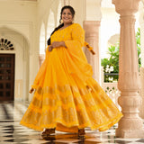 Sunglow & Gold Panelled Banarasi Anarkali